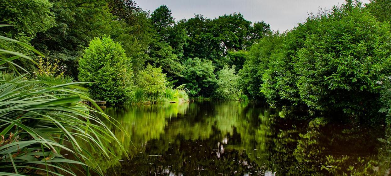 Lloyds Meadow Glamping Hotel Chester Bagian luar foto